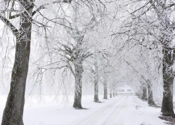 Алдағы күндері қатты аяз болады: синоптиктер ескерту жасады