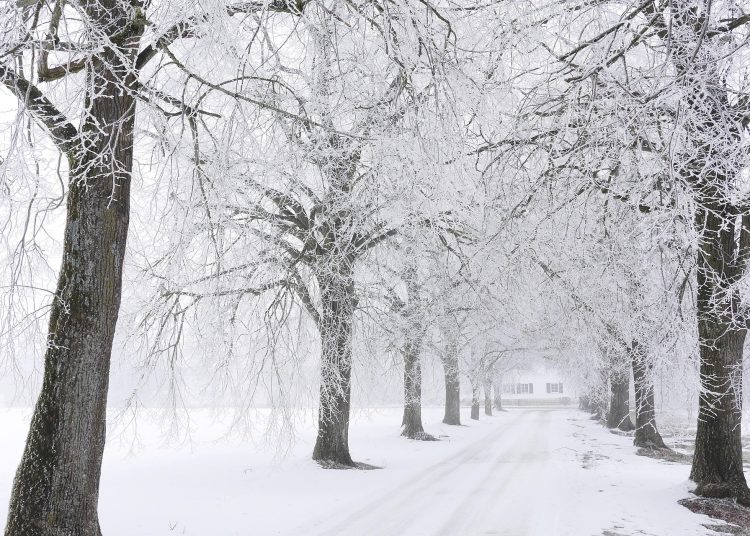 Фото: pixabay.com