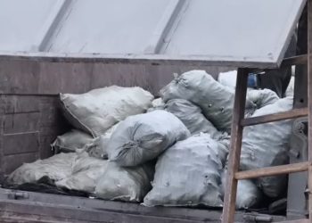 Өскеменге кіре берісте заңсыз балық тиелген жүк көлігі ұсталды