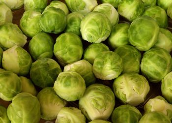 Қырыққабат пен пиязды қымбаттатып сатқан кәсіпкер жауапқа тартылды – Тарбағатай