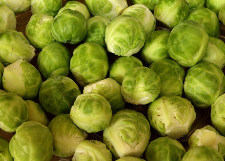 Қырыққабат пен пиязды қымбаттатып сатқан кәсіпкер жауапқа тартылды – Тарбағатай