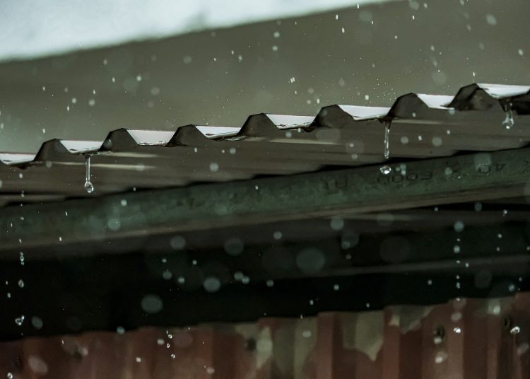 Фото: pixabay.com