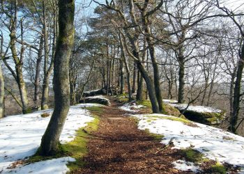 ШҚО: наурызда ауа райы қандай болады?