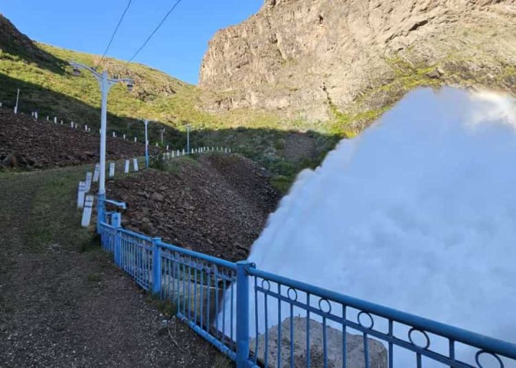 Фото: ШҚО әкімдігі