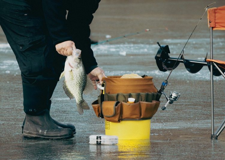 Жүлде қоры – 2 миллион: Шығыста үздік балықшыны анықтайды