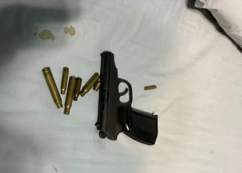 ШҚО-да екі тұрғын үйінде заңсыз қару сақтаған