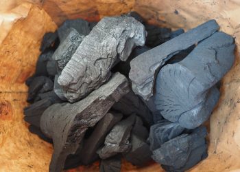 Қамқорлық акциясы: Тарбағатайда мұқтаж отбасыларға 35 тонна көмір жеткізілді