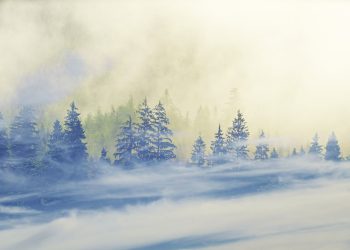 Жолдар жабылуы мүмкін: ШҚО-да қар жауып, боран болады