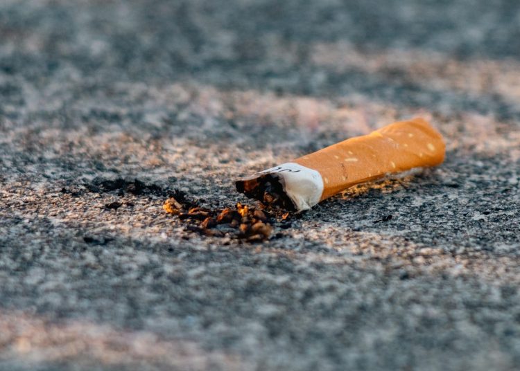 Фото: pixabay.com