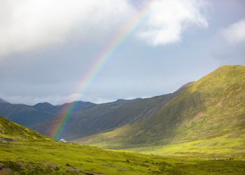 Жайылым тапшылығы мәселесі қалай шешіліп жатыр?