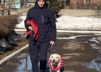 Адал қызметтің өтеуі: ШҚО-да құтқарушы итті құрметті демалысқа шығарып салды