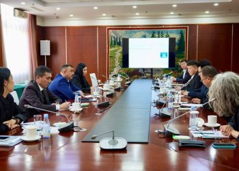 ШҚО мен Қытай арасында әріптестік күшейтілмек