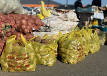 Әлеуметтік-кәсіпкерлік корпорациялар өңірлік даму институттарына айналады