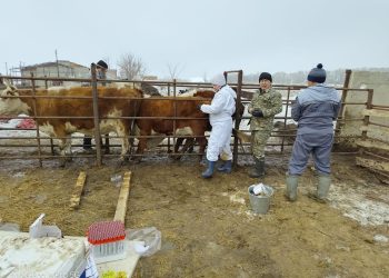 ШҚО-да жұқпалы ауруларға қарсы екпе салу жүріп жатыр