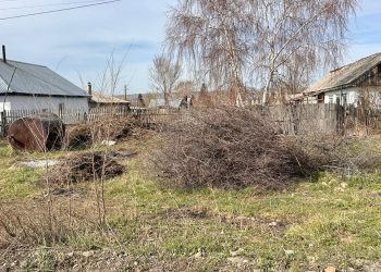 Самарда қоқыс шығармаған 80 тұрғын айыппұл арқалады