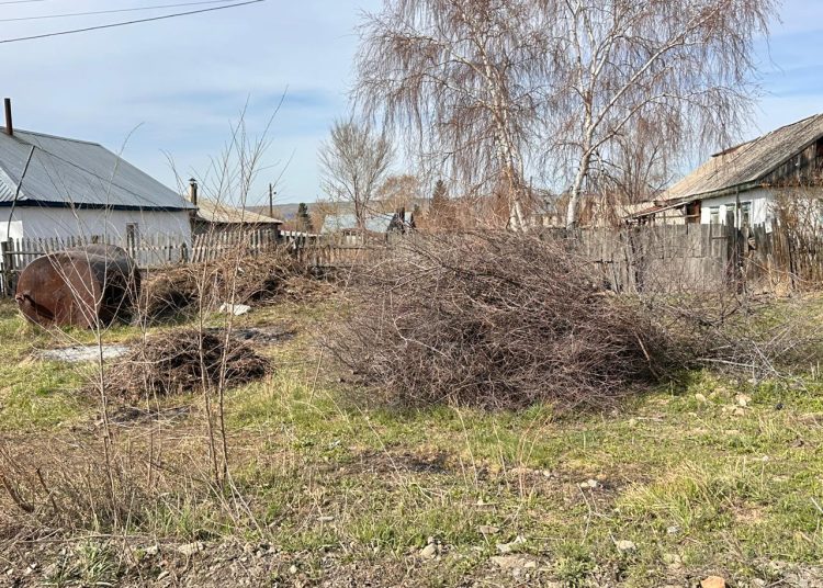 Самарда қоқыс шығармаған 80 тұрғын айыппұл арқалады