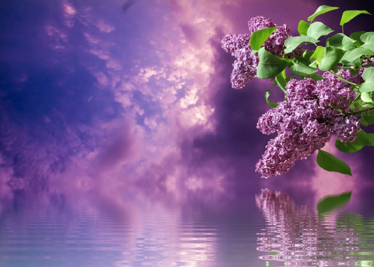 Фото: pixabay.com