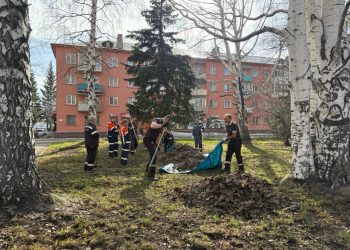 Бауырсақ таратып, футбол ойнады: Риддердегі сенбілік