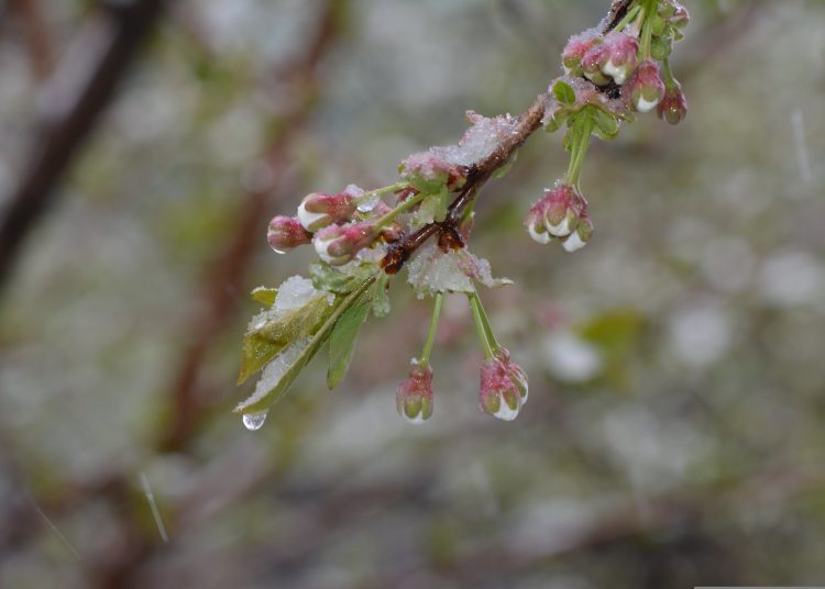 Жауын-шашын, жел, тұман: ШҚО-да күн суытады