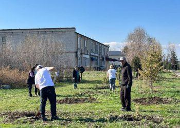 Үлкен Нарында 4 мыңнан астам тұрғын сенбілікке қатысты