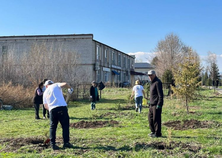 Үлкен Нарында 4 мыңнан астам тұрғын сенбілікке қатысты