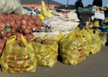 Өскеменде мерекелік жәрмеңке өтті