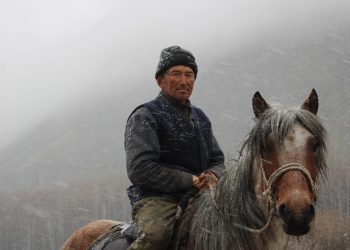 Алтайдың қайсар малшысы Дулат Оралғазин еңбегімен елгі үлгі болып жүр