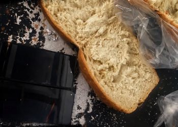 Нанның ішіне жасырған: ШҚО-да түрмеге телефон өткізбек болған күдікті ұсталды