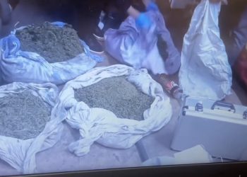 Риддерлік тұрғыннан 6 келіге жуық марихуана тәркіленді
