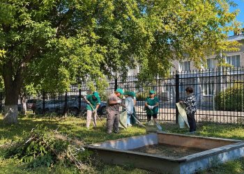 Таза Қазақстан: шығысқазақстандықтар сенбілікке белсене қатысты