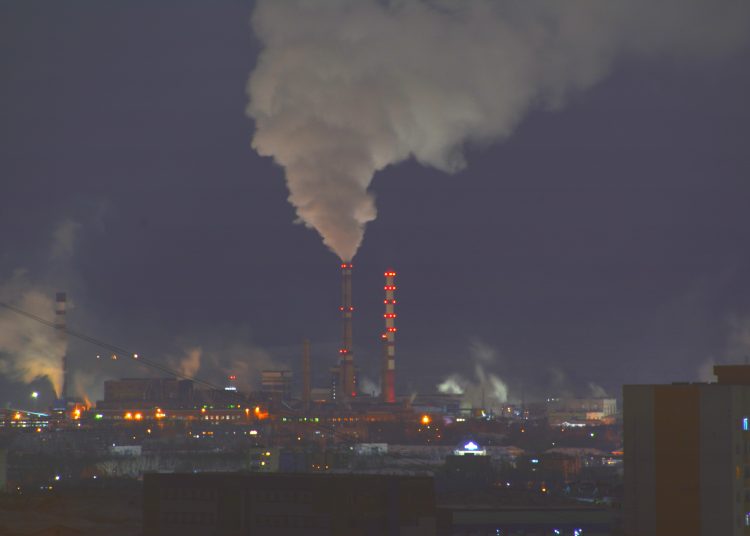 Мерей Қайнарұлының суреті