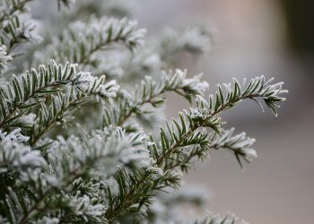 Алдағы күндері қар жауып, көктайғақ болуы мүмкін – ШҚО